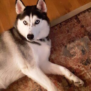 Meet your Posher, Vickie